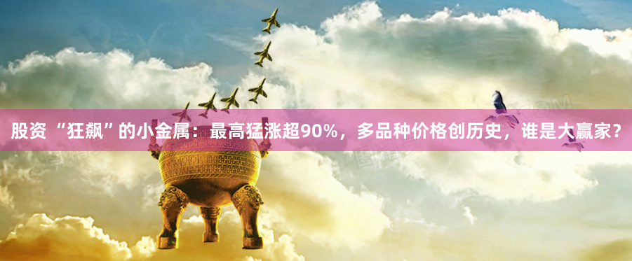 股资 “狂飙”的小金属：最高猛涨超90%，多品种价格创历史，谁是大赢家？