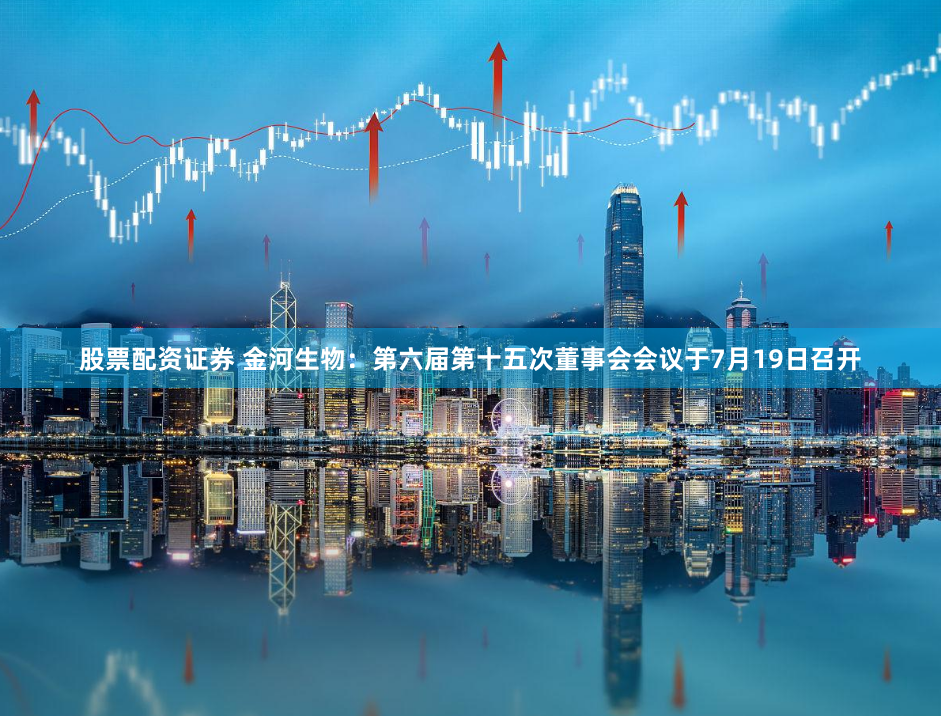 股票配资证券 金河生物：第六届第十五次董事会会议于7月19日召开