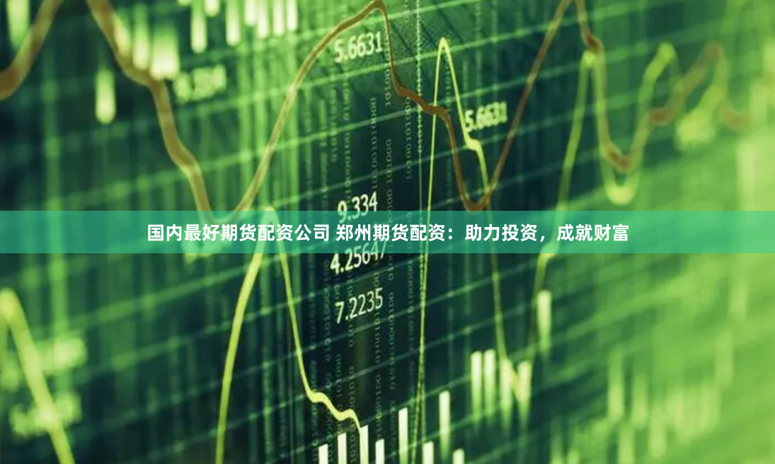 国内最好期货配资公司 郑州期货配资：助力投资，成就财富