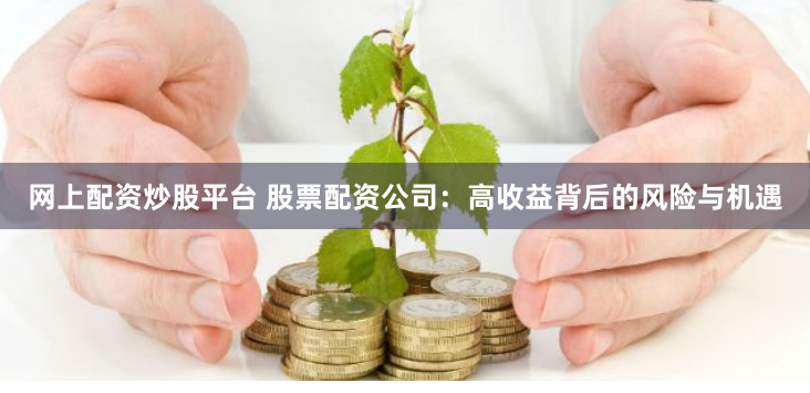 网上配资炒股平台 股票配资公司：高收益背后的风险与机遇