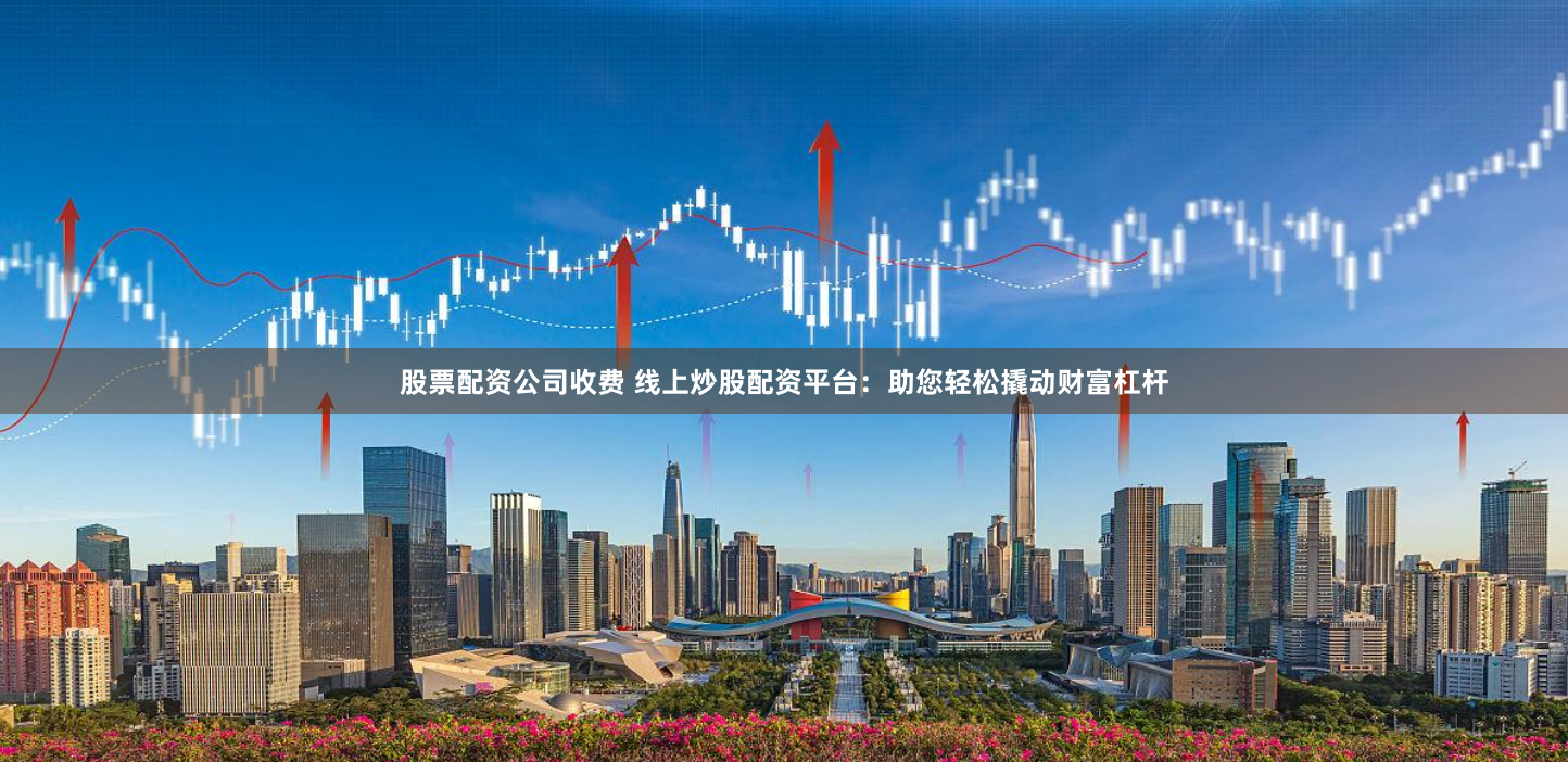 股票配资公司收费 线上炒股配资平台:助您轻松撬动财富杠杆